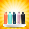 OASIS Vacuum Bottle - Set of 5