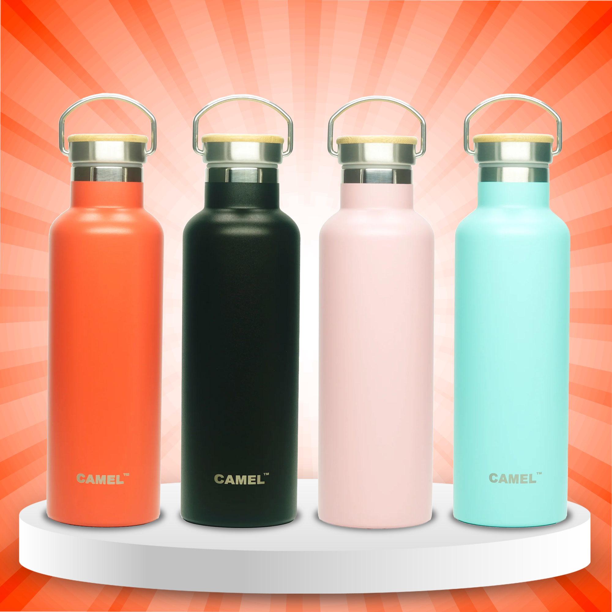 VISTA Vacuum Bottle - Set of 4
