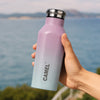 Oasis Plus Vacuum Bottle - Cotton Candy
