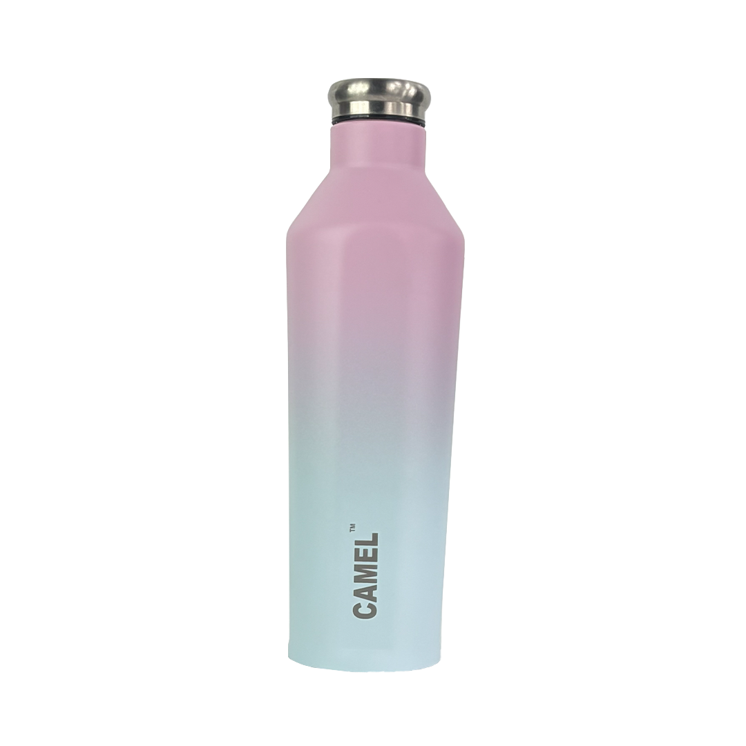 Oasis Plus Vacuum Bottle - Cotton Candy