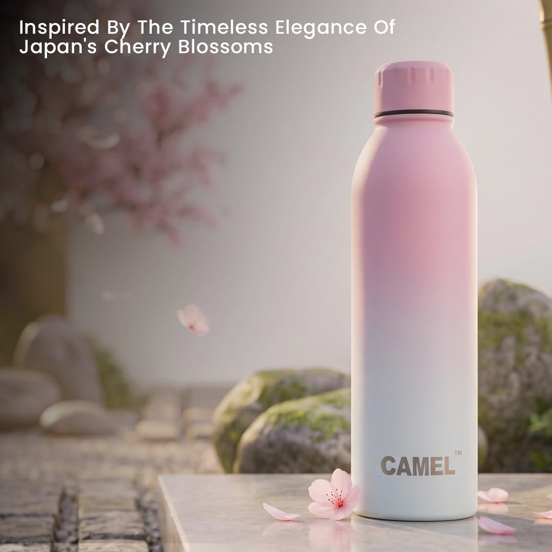 Japan Cherry Blossom Aura Plus Double Wall Vacuum Bottle - 6 Hours Hot & 12 Hours Cold