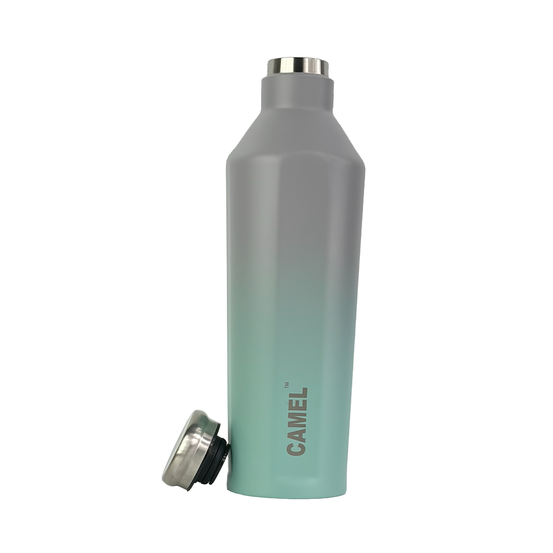 Oasis Plus Vacuum Bottle - Arctic Smoke
