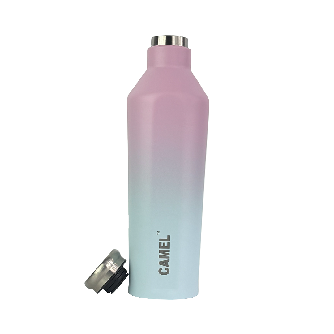 Oasis Plus Vacuum Bottle - Cotton Candy