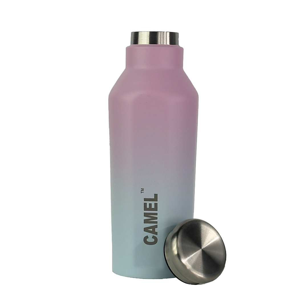 Oasis Plus Vacuum Bottle - Cotton Candy