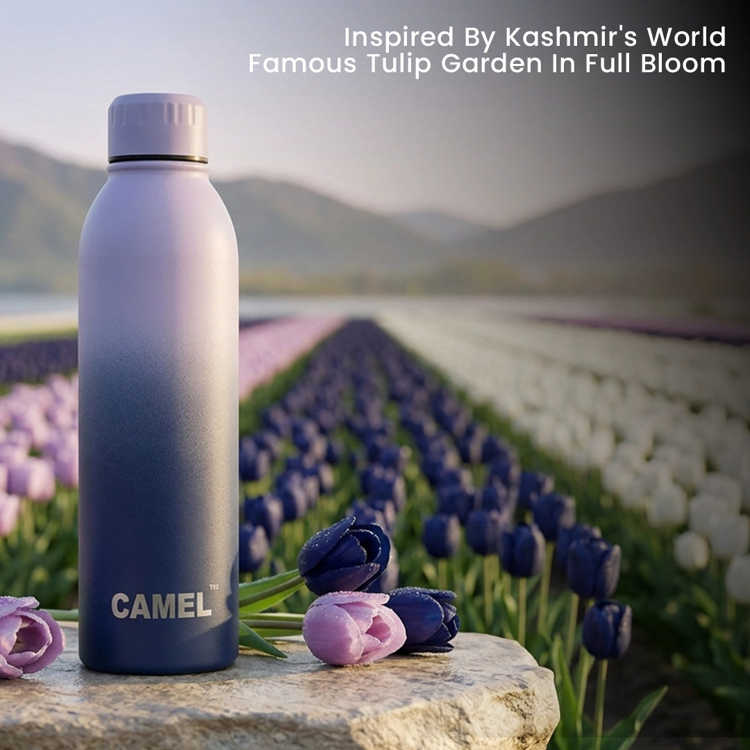 Japan Cherry Blossom Aura Plus Double Wall Vacuum Bottle - 6 Hours Hot & 12 Hours Cold