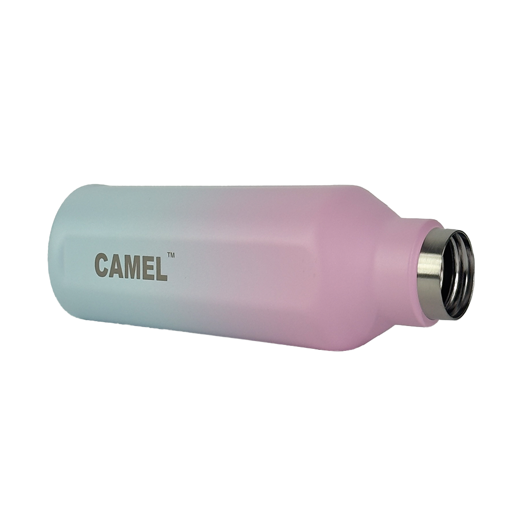 Oasis Plus Vacuum Bottle - Cotton Candy