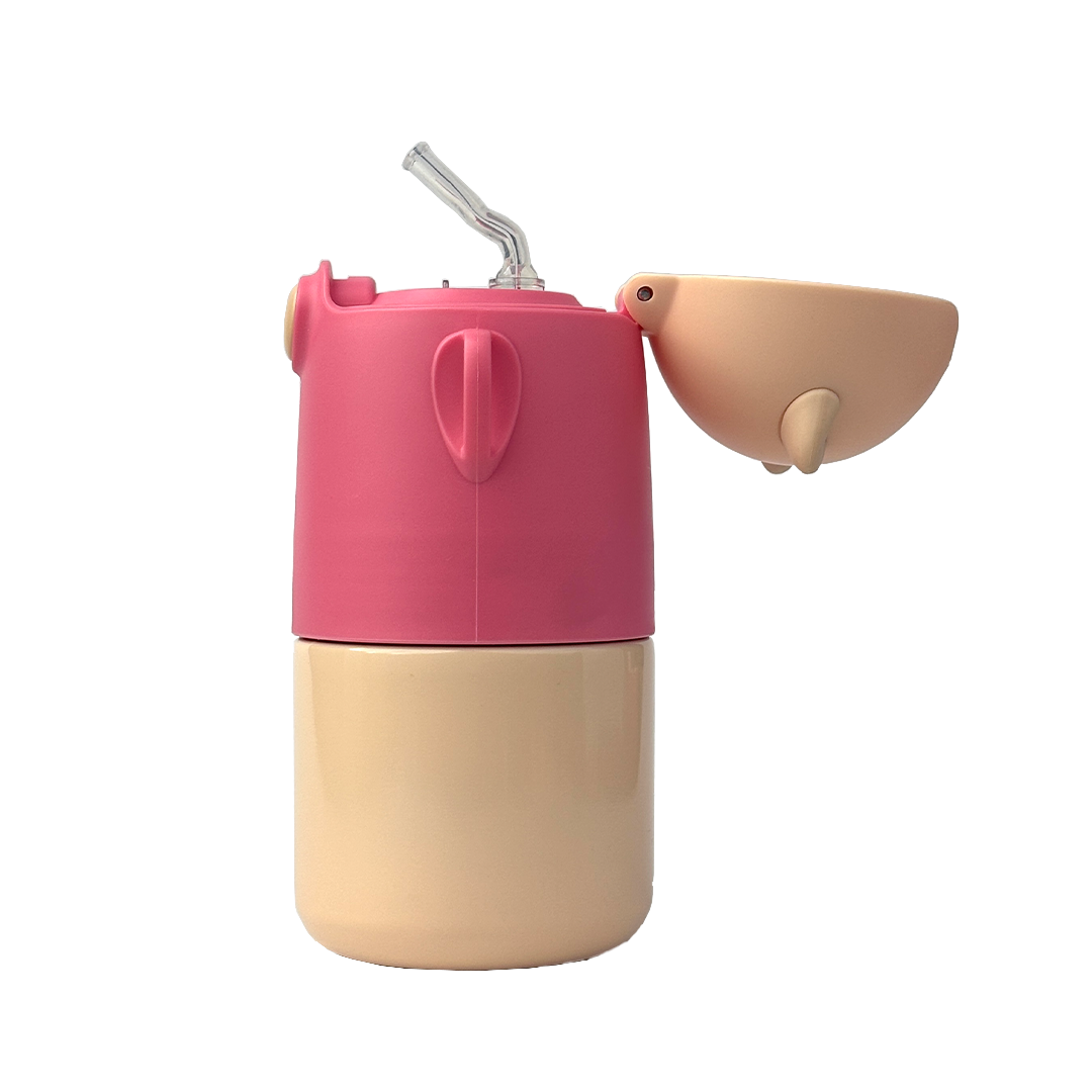 Play Kids 450ML Bottle (Set of 2)