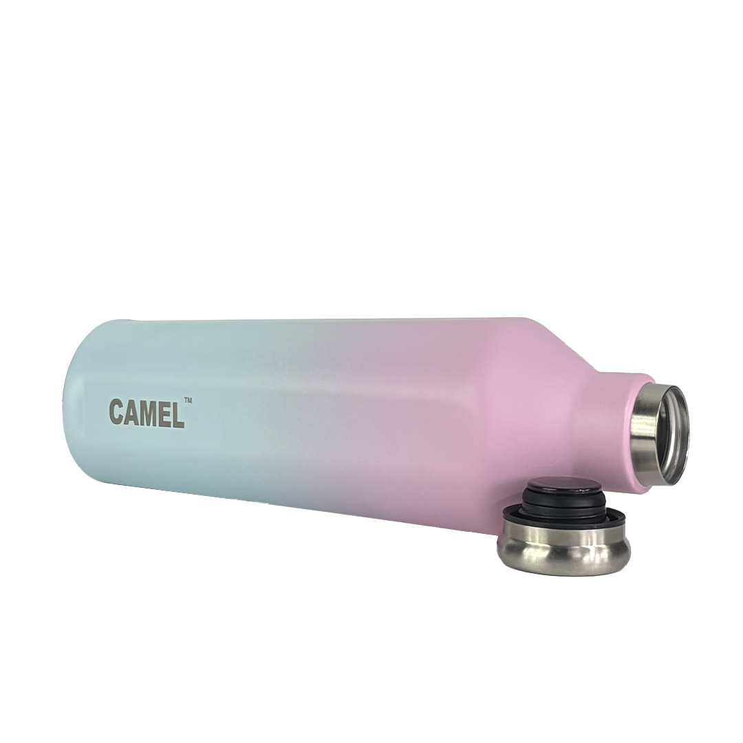 Oasis Plus Vacuum Bottle - Cotton Candy