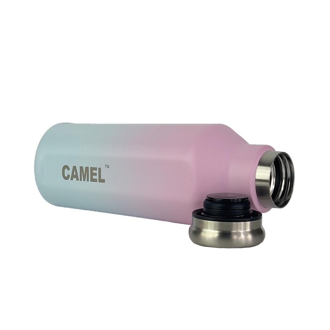 Oasis Plus Vacuum Bottle - Cotton Candy