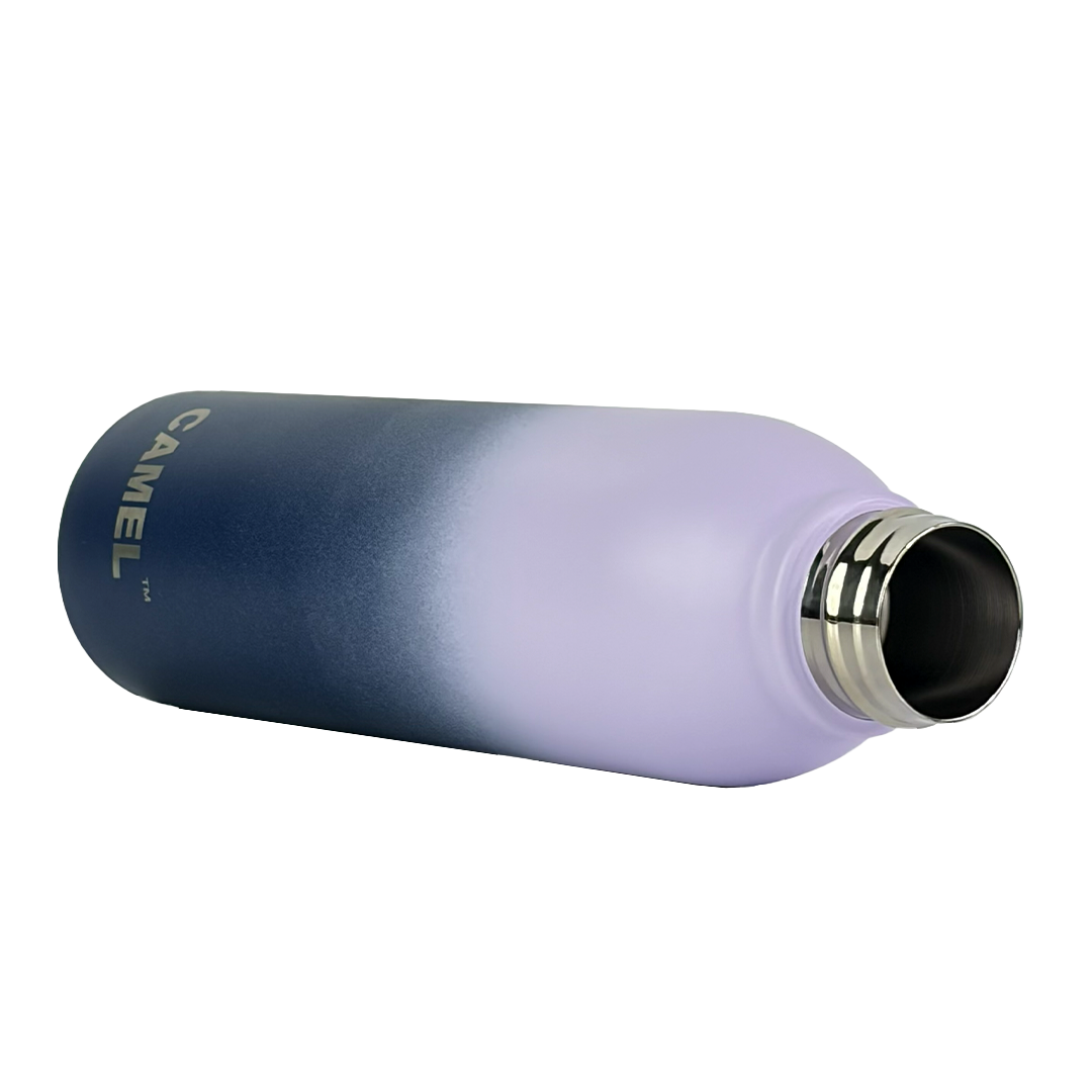 Aura Plus Vacuum Bottle - Twilight Mist