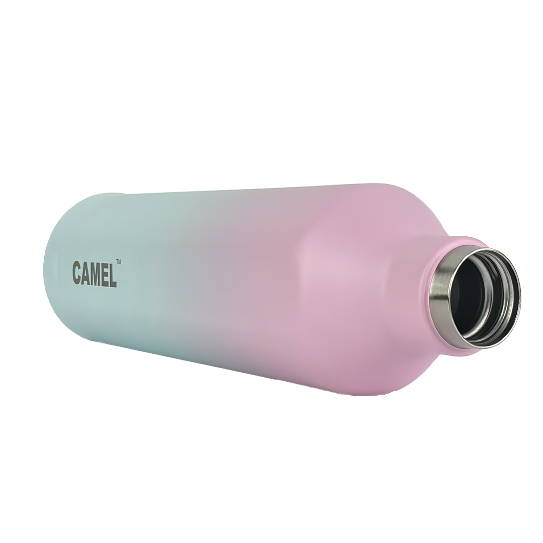 Oasis Plus Vacuum Bottle - Cotton Candy