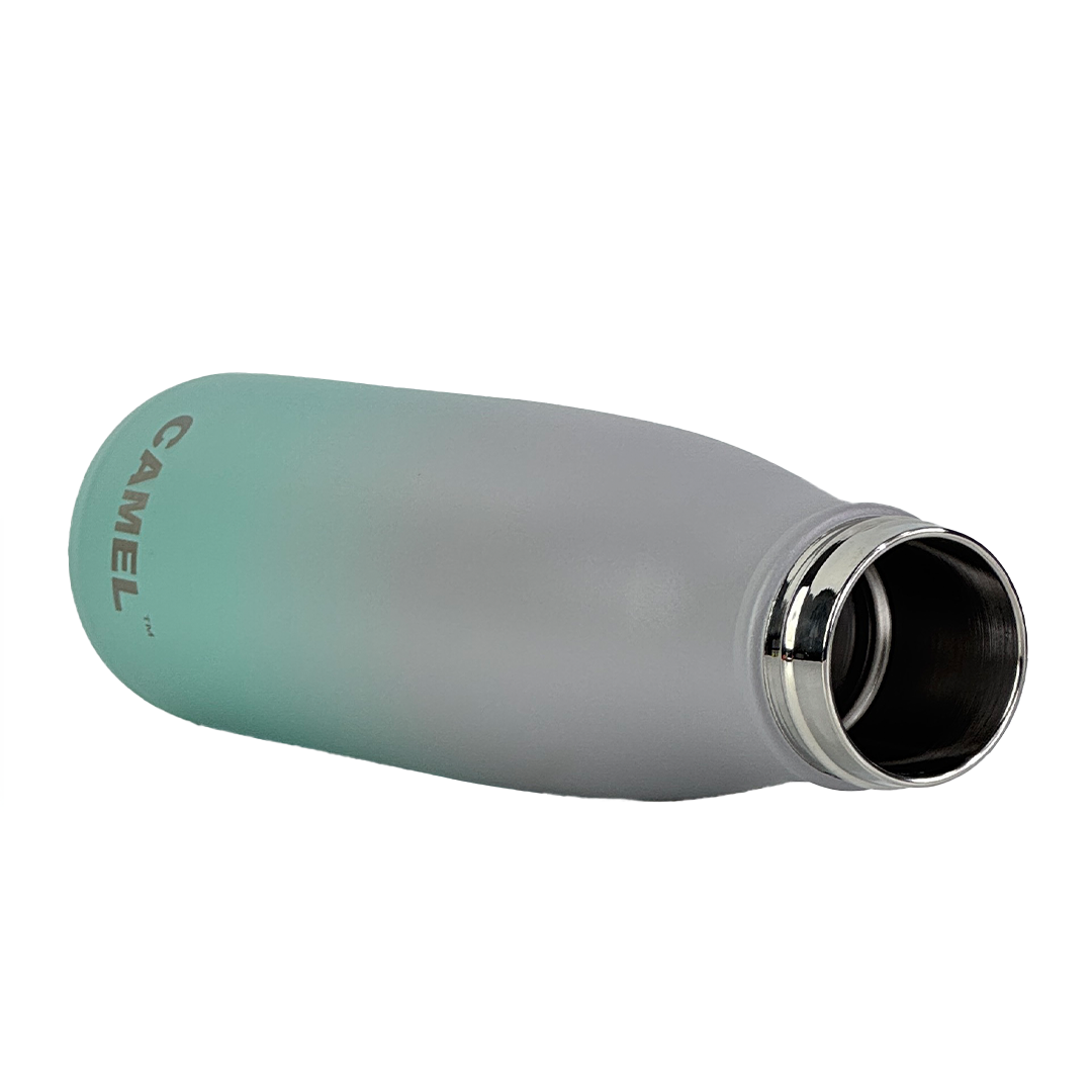 Neo Plus Vacuum Bottle - Arctic Smoke
