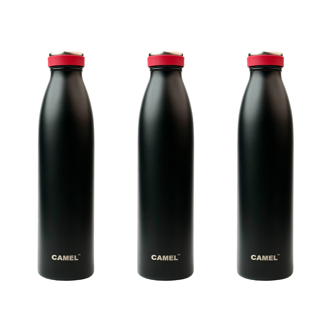 Saffron Double Wall Vacuum Flask Bottle - Hot Beverages Upto 6+ Hours (Black)
