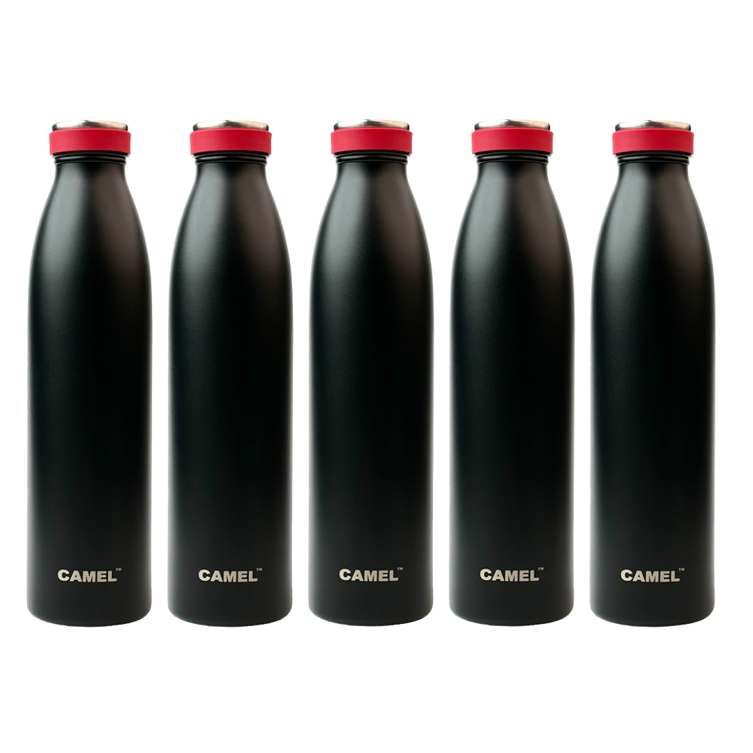 Saffron Double Wall Vacuum Flask Bottle - Hot Beverages Upto 6+ Hours (Black)
