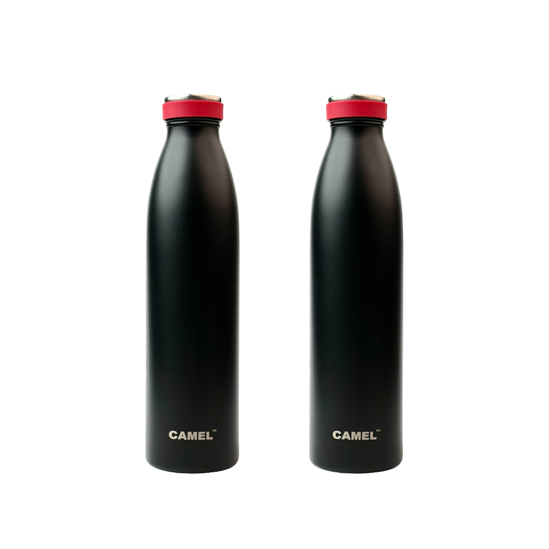 Saffron Double Wall Vacuum Flask Bottle - Hot Beverages Upto 6+ Hours (Black)