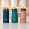 Bliss Double Wall Vacuum Food Jar - India's Bestselling Vacuum Food Jar | Pack of 3