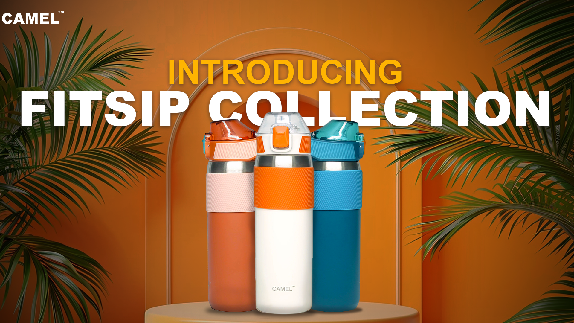 Fitsip Collection