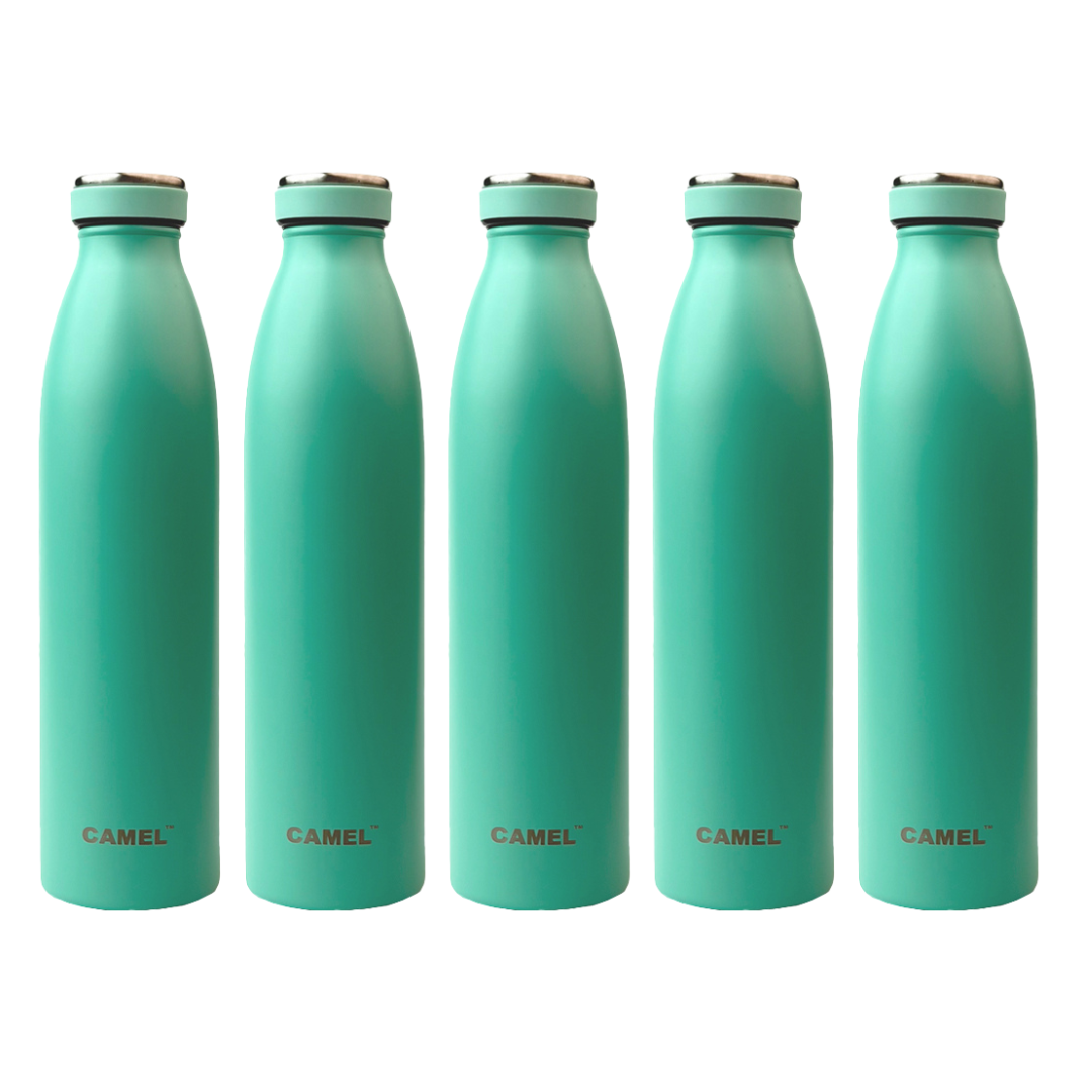 Saffron Double Wall Vacuum Flask Bottle - Hot Beverages Upto 6+ Hours (Mint)