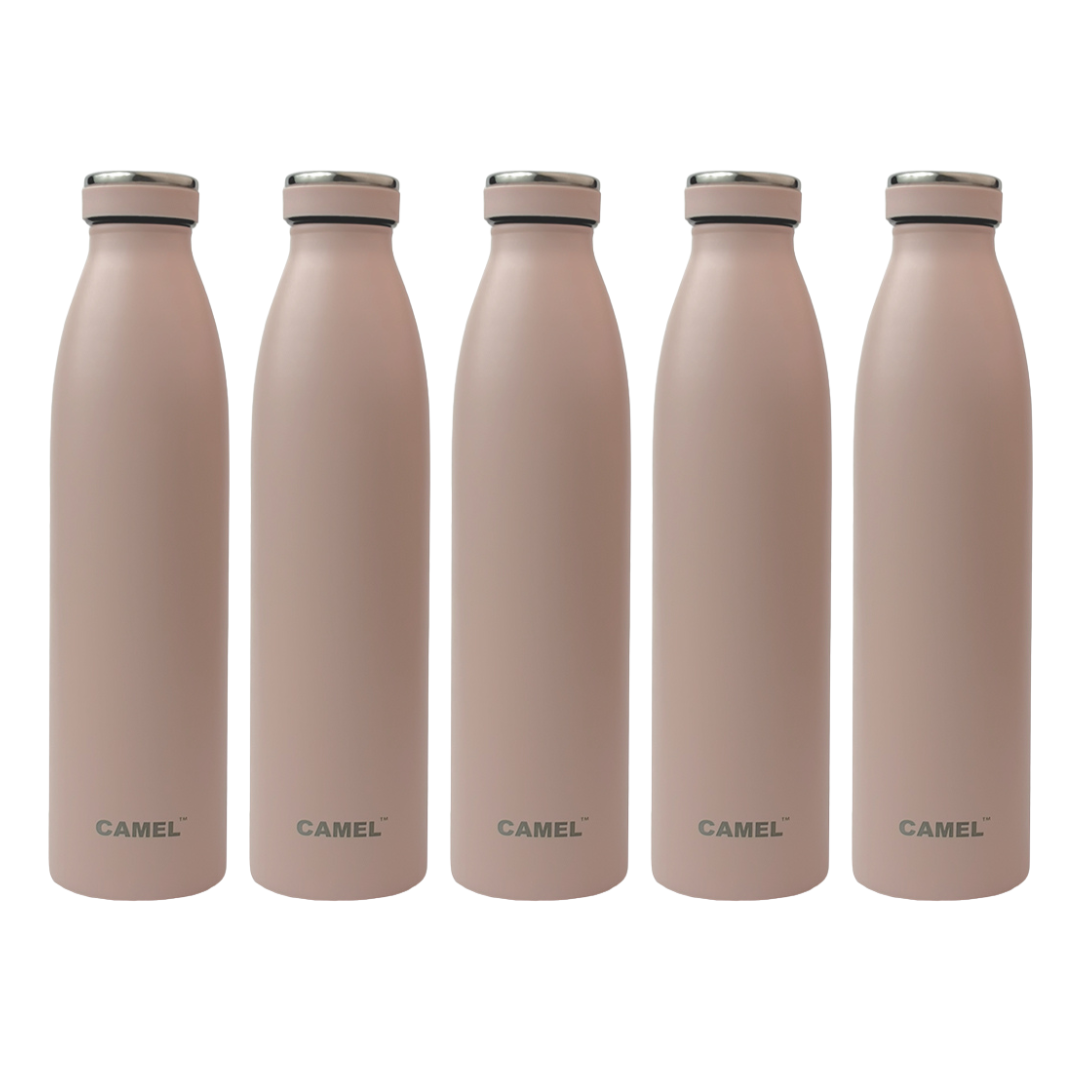 Saffron Double Wall Vacuum Flask Bottle - Hot Beverages Upto 6+ Hours (Pink)