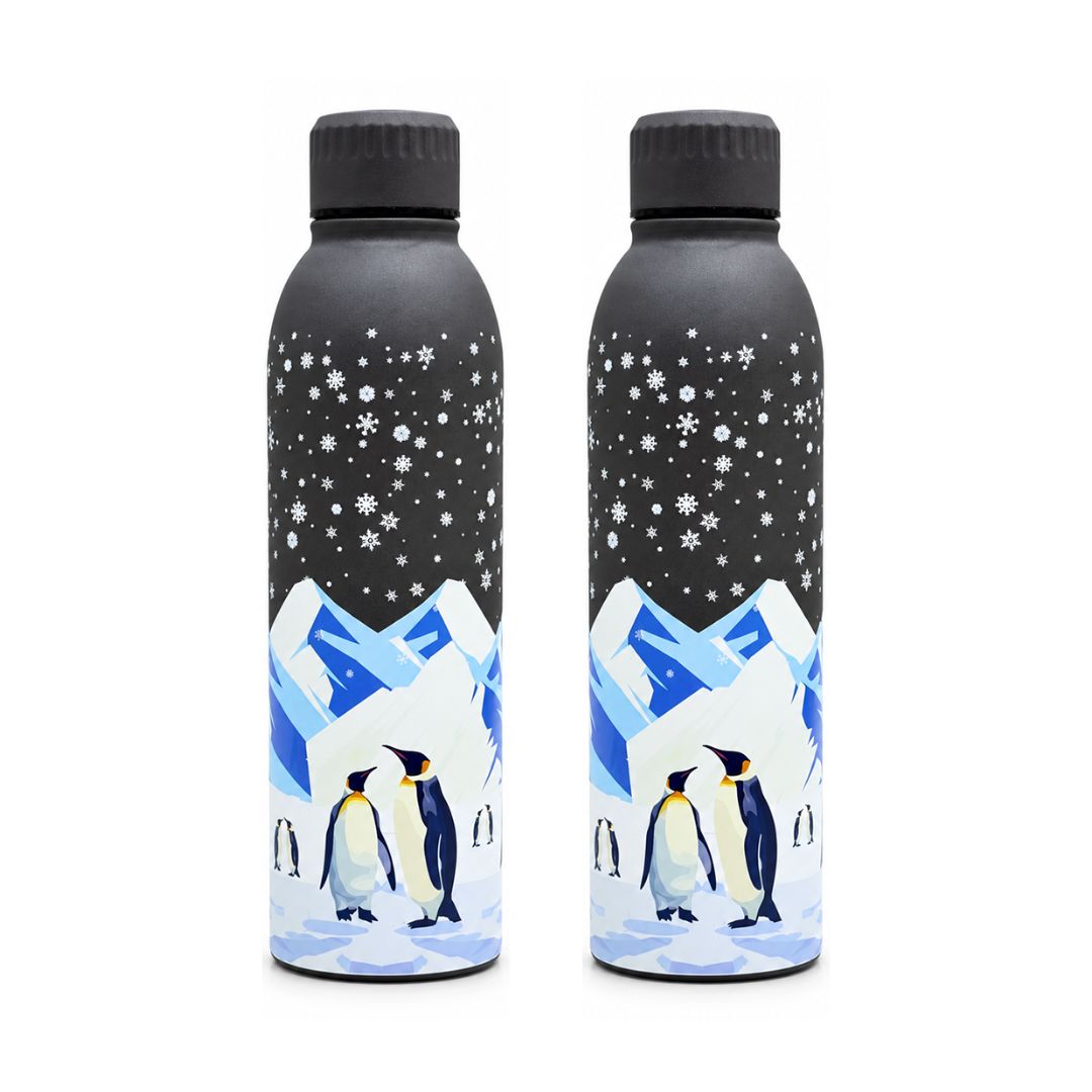 Splash Antarctic Penguin Shores Garden UV Printed Vacuum Bottle | 6 Hours Hot & 12 Hours Cold