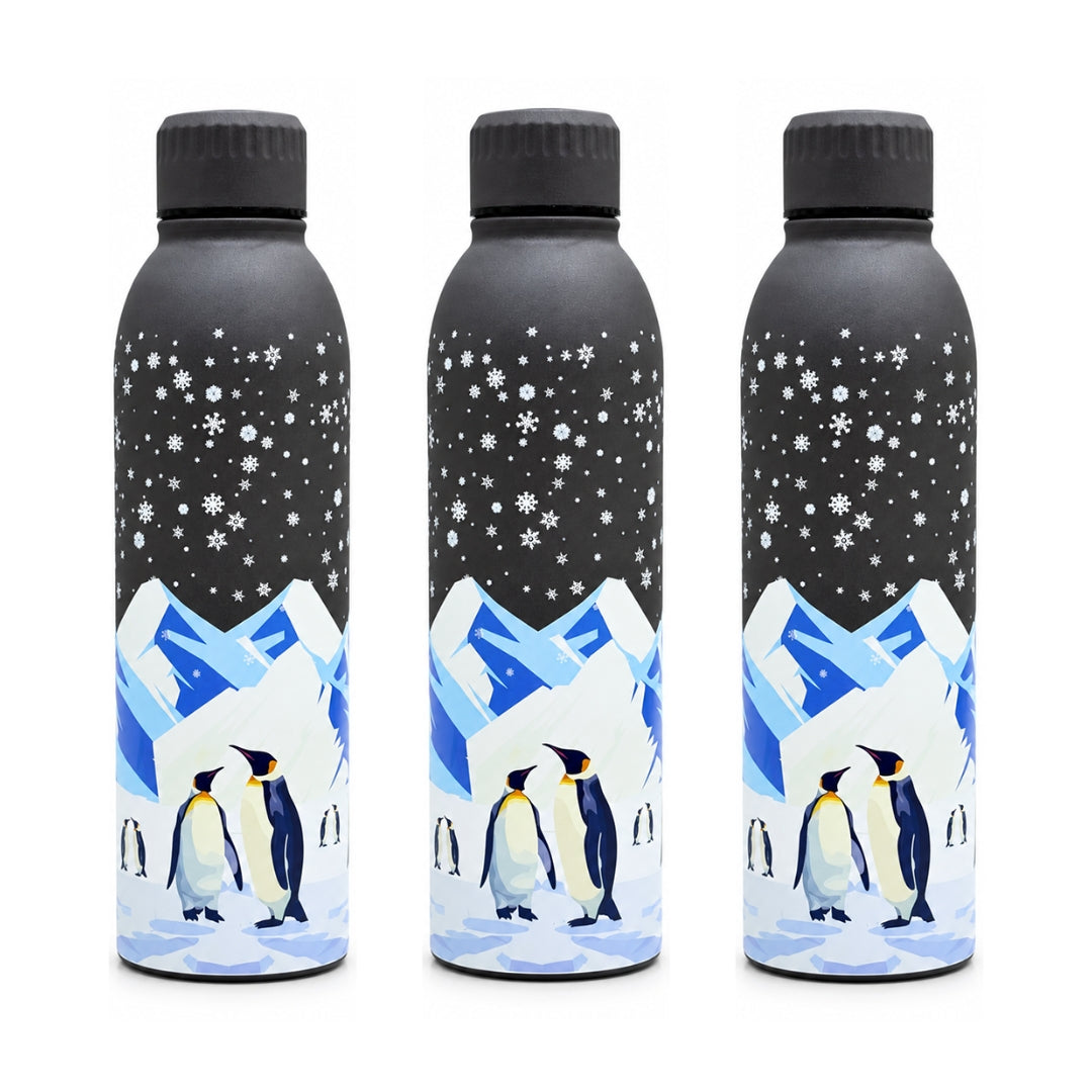 Splash Antarctic Penguin Shores Garden UV Printed Vacuum Bottle | 6 Hours Hot & 12 Hours Cold