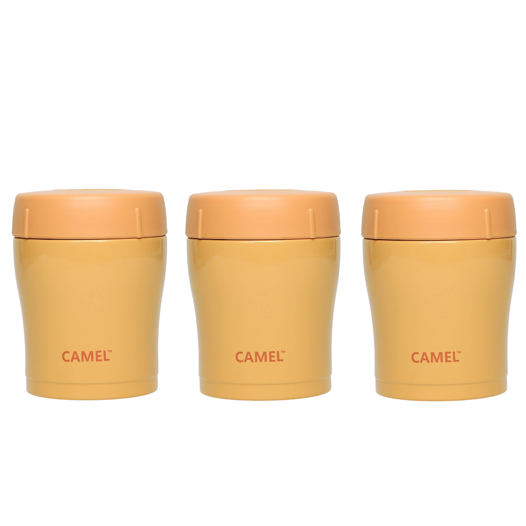 Trendy 300 ML Stainless Steel Vacuum Insulated Food Jar - Orange