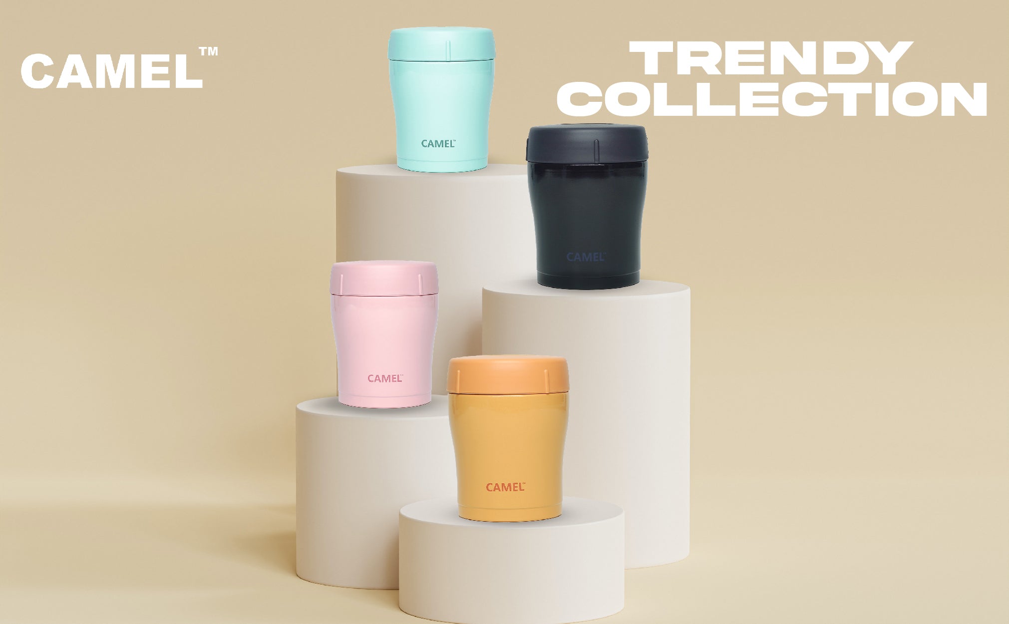 Trendy Collection